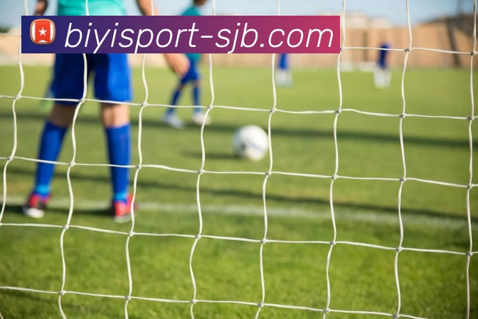 必一运动，必一运动，必一运动官网，必一运动平台，必一运动APP服务体系